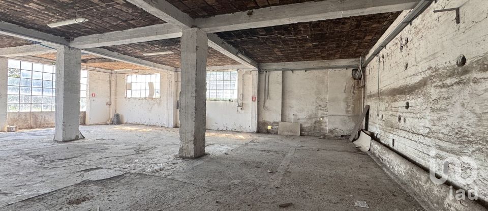 Shop / premises commercial of 900 m² in Pesaro (61122)