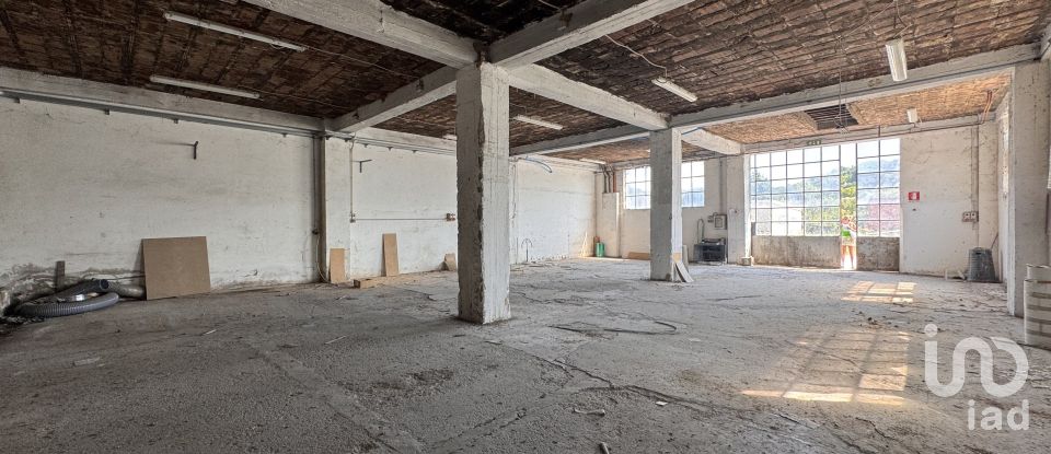 Shop / premises commercial of 900 m² in Pesaro (61122)