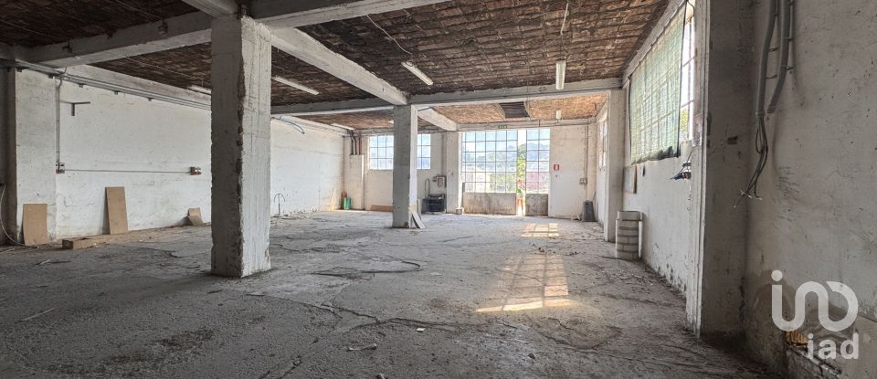 Shop / premises commercial of 900 m² in Pesaro (61122)