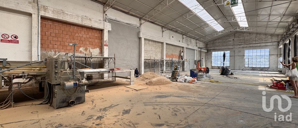 Shop / premises commercial of 900 m² in Pesaro (61122)