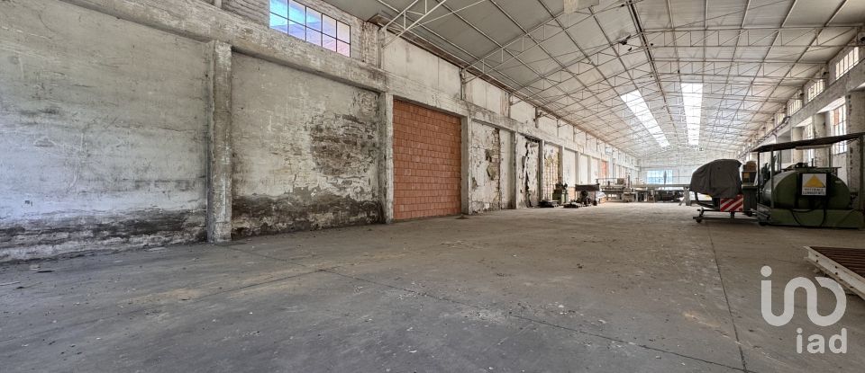 Shop / premises commercial of 900 m² in Pesaro (61122)