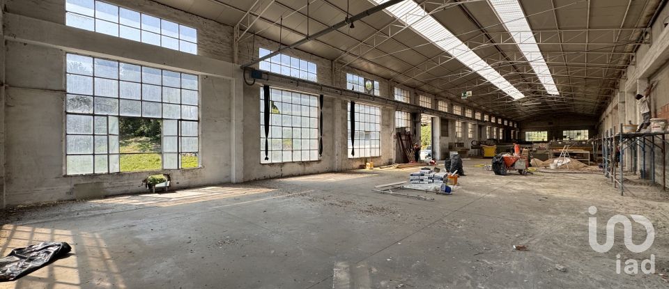 Shop / premises commercial of 900 m² in Pesaro (61122)