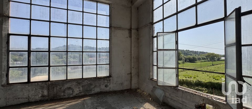 Shop / premises commercial of 900 m² in Pesaro (61122)