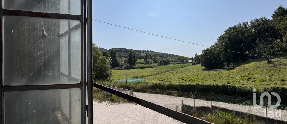 Shop / premises commercial of 900 m² in Pesaro (61122)