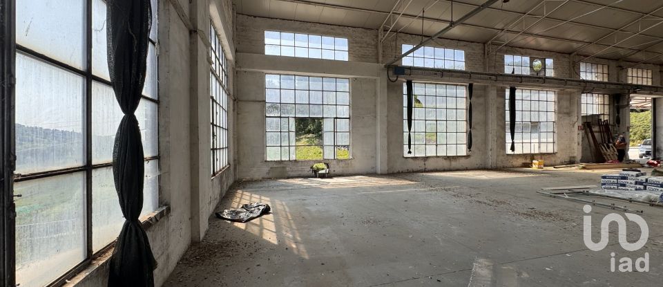 Shop / premises commercial of 900 m² in Pesaro (61122)