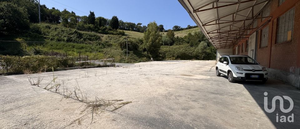 Shop / premises commercial of 900 m² in Pesaro (61122)
