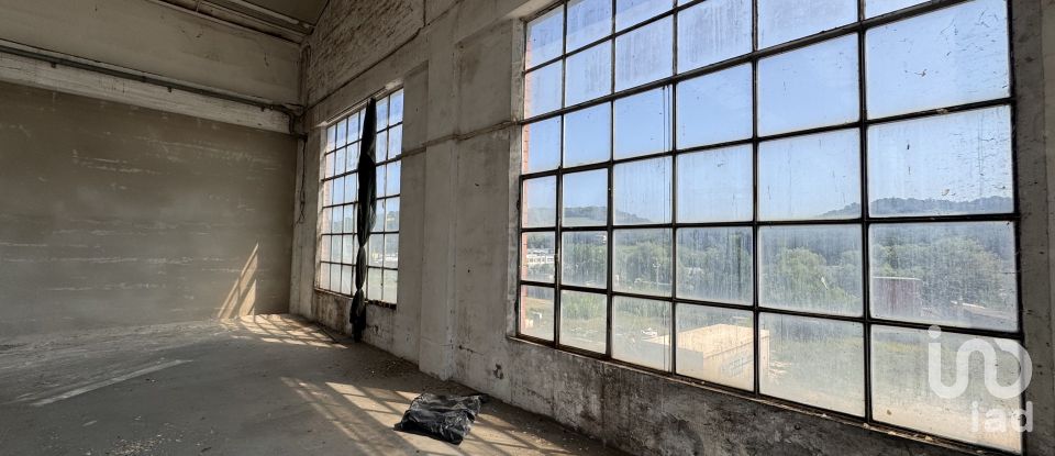 Shop / premises commercial of 900 m² in Pesaro (61122)