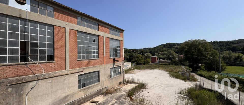 Shop / premises commercial of 900 m² in Pesaro (61122)