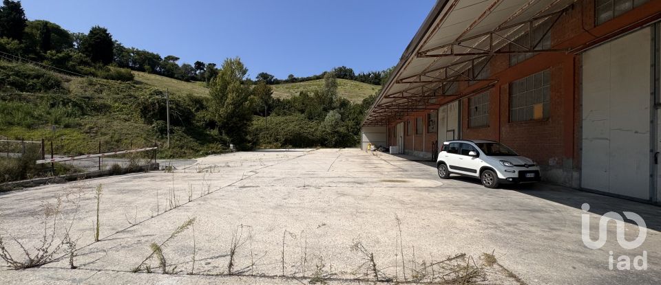 Shop / premises commercial of 900 m² in Pesaro (61122)