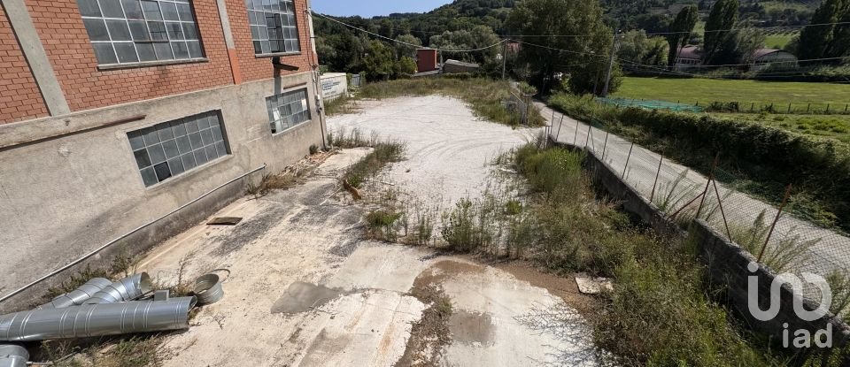 Shop / premises commercial of 900 m² in Pesaro (61122)