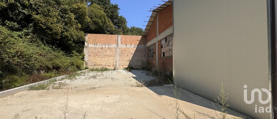 Shop / premises commercial of 900 m² in Pesaro (61122)