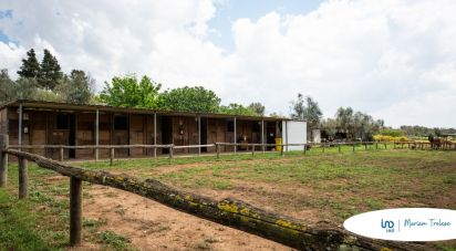 Casale 18 locali di 387 m² in Nardò (73050)