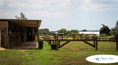 Casale 18 locali di 387 m² in Nardò (73050)