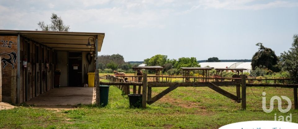 Farm 18 rooms of 387 m² in Nardò (73050)