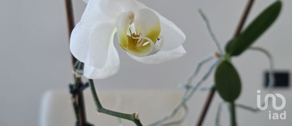 Bilocale di 61 m² a Savona (17100)