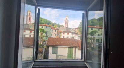 Casa di paese 5 locali di 100 m² in Carro (19012)