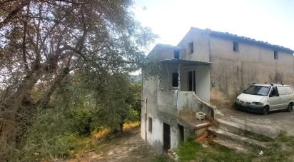 Casa di paese 6 locali di 110 m² in Amantea (87032)