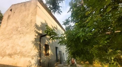 Casa di paese 6 locali di 110 m² in Amantea (87032)