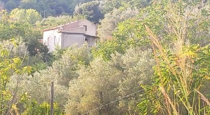 Casa di paese 6 locali di 110 m² in Amantea (87032)