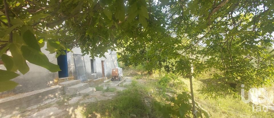 Casa di paese 6 locali di 110 m² in Amantea (87032)