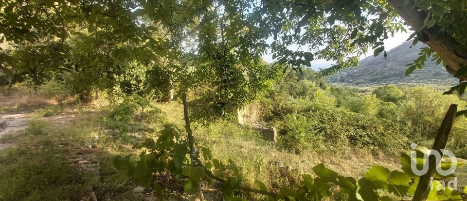 Casa di paese 6 locali di 110 m² in Amantea (87032)