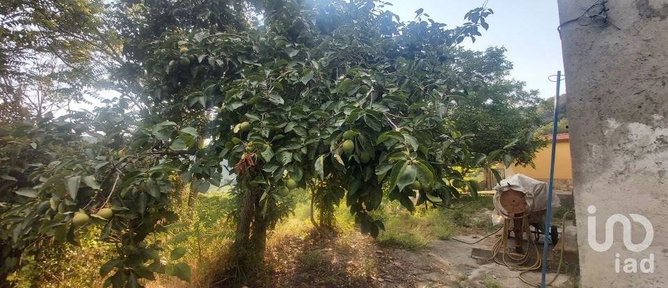 Casa di paese 6 locali di 110 m² in Amantea (87032)