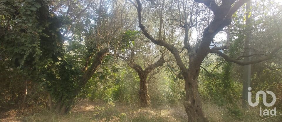 Casa di paese 6 locali di 110 m² in Amantea (87032)