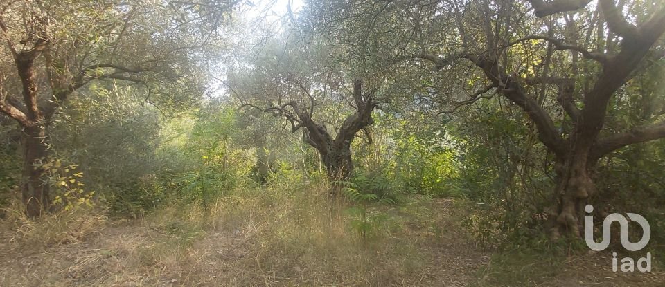 Casa di paese 6 locali di 110 m² in Amantea (87032)