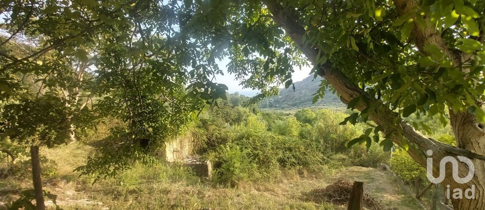 Casa di paese 6 locali di 110 m² in Amantea (87032)