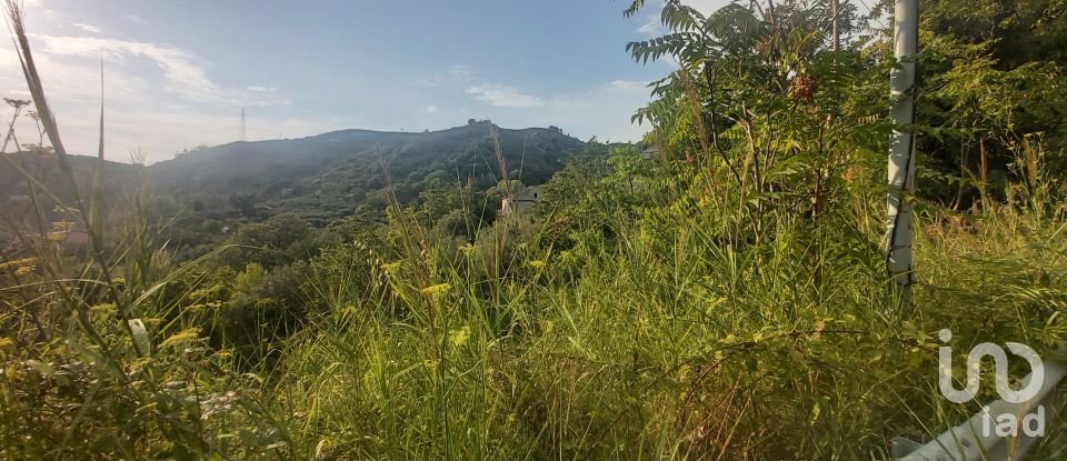 Casa di paese 6 locali di 110 m² in Amantea (87032)