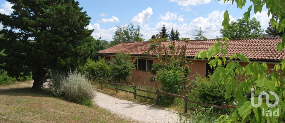 Hotel-restaurant of 2,500 m² in Urbino (61029)