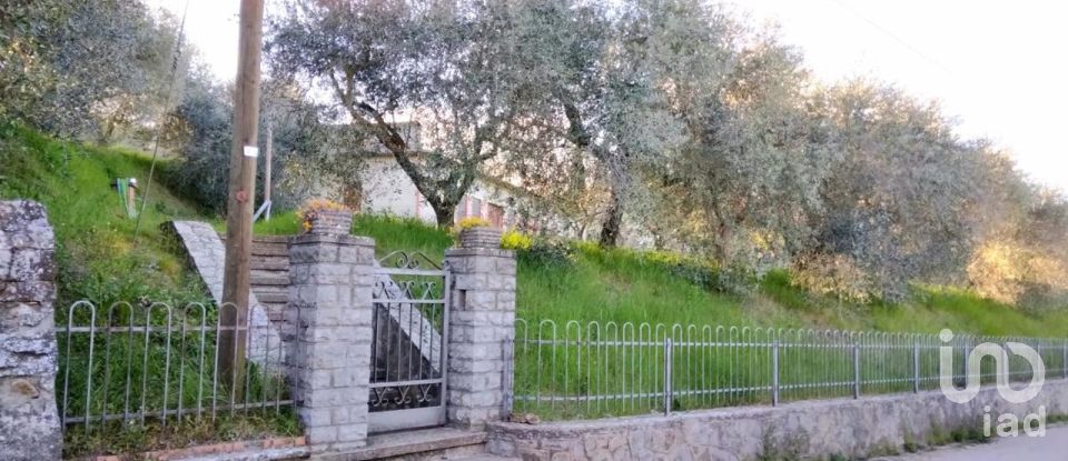 Varie superfici di 6.799 m² in Panicale (06064)