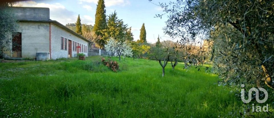 Varie superfici di 6.799 m² in Panicale (06064)