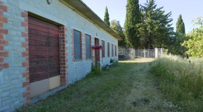 Varie superfici di 6.799 m² in Panicale (06064)