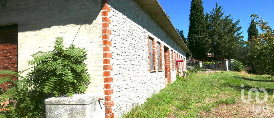 Varie superfici di 6.799 m² in Panicale (06064)