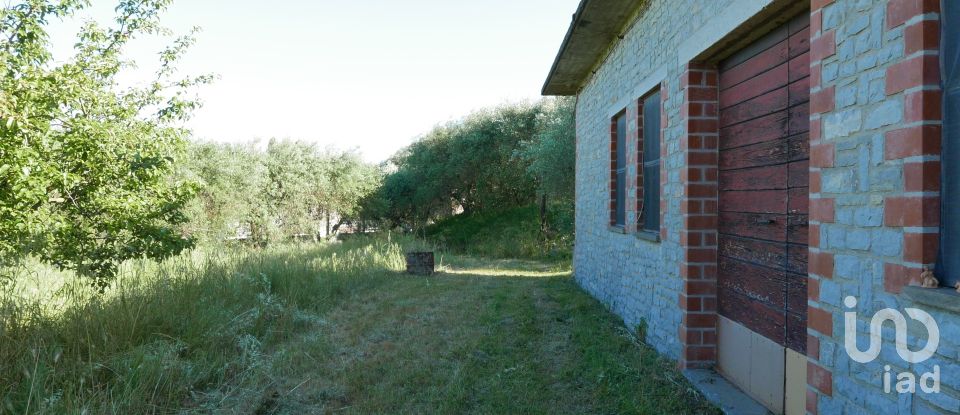 Varie superfici di 6.799 m² in Panicale (06064)