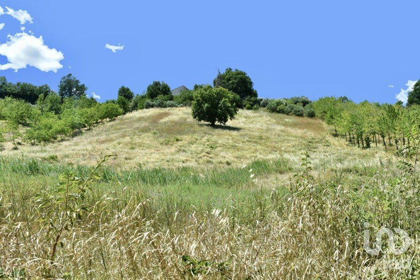 Terreno di 15.000 m² in Staffolo (60039)