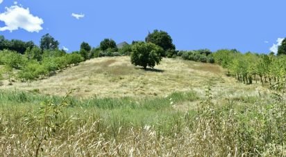 Land of 15,000 m² in Staffolo (60039)