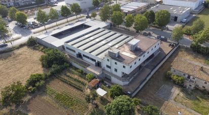 Palazzo / Stabile di 3.200 m² in Porto Sant'Elpidio (63821)