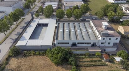 Palazzo / Stabile di 3.200 m² in Porto Sant'Elpidio (63821)