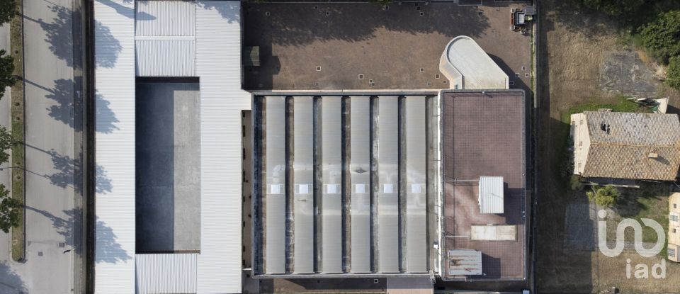 Building of 3,200 m² in Porto Sant'Elpidio (63821)