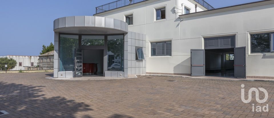 Building of 3,200 m² in Porto Sant'Elpidio (63821)