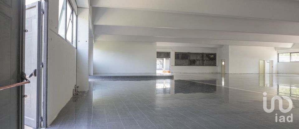 Building of 3,200 m² in Porto Sant'Elpidio (63821)