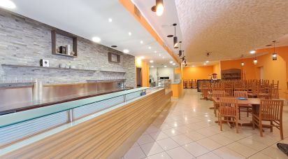 Restaurant of 400 m² in Badia Polesine (45021)