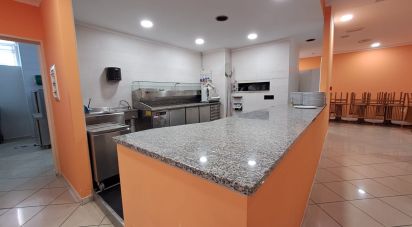 Restaurant of 400 m² in Badia Polesine (45021)