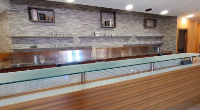 Restaurant of 400 m² in Badia Polesine (45021)