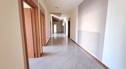 Commercial walls of 300 m² in Badia Polesine (45021)