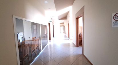 Commercial walls of 300 m² in Badia Polesine (45021)