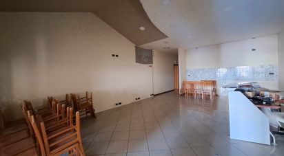 Commercial walls of 300 m² in Badia Polesine (45021)