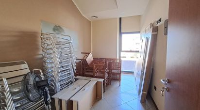 Commercial walls of 300 m² in Badia Polesine (45021)